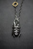 STAG HORN BEETLE