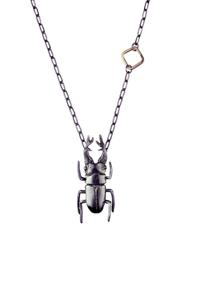 STAG HORN BEETLE